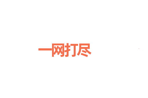 一网打尽