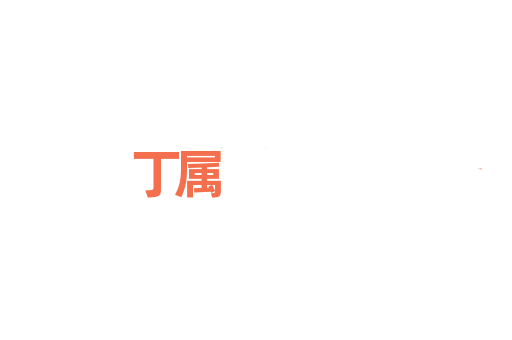 丁属