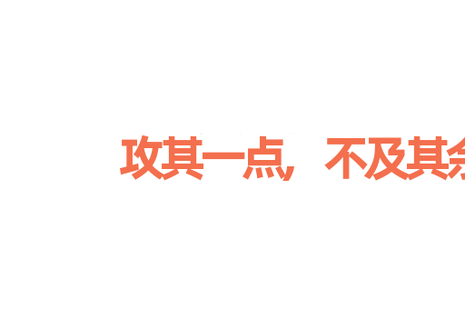 攻其一点,不及其余