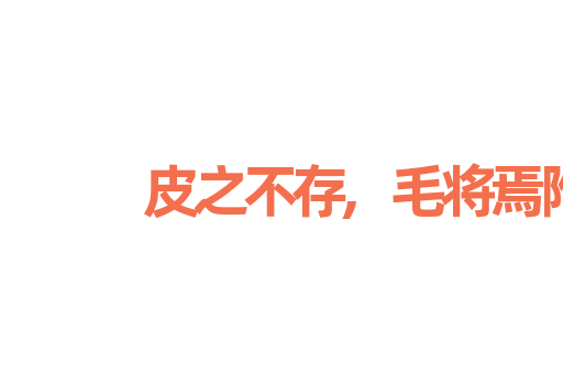 皮之不存,毛将焉附